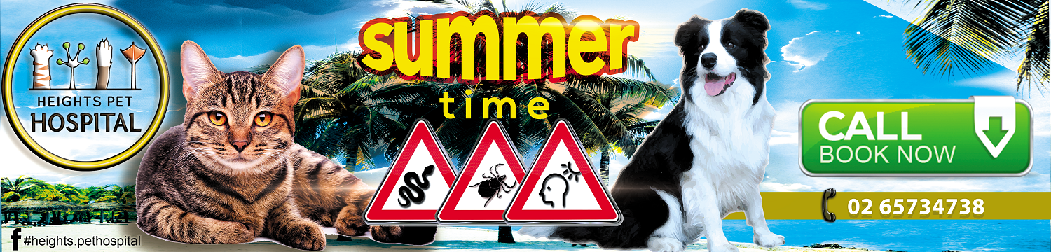 Graphic Design by Grebowiec Peter for Heights Pet Hospital | Design #20237333