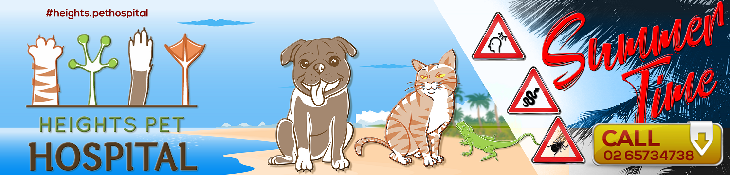 Graphic Design by Grebowiec Peter for Heights Pet Hospital | Design #20237345