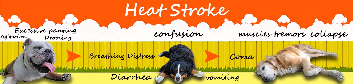 Grafik-Design von creative gravity für Heights Pet Hospital | Design #20283619