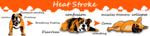 Graphic Design by creative gravity for Heights Pet Hospital | Design: #20305853