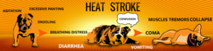 Graphic Design by creative gravity for Heights Pet Hospital | Design: #20327776