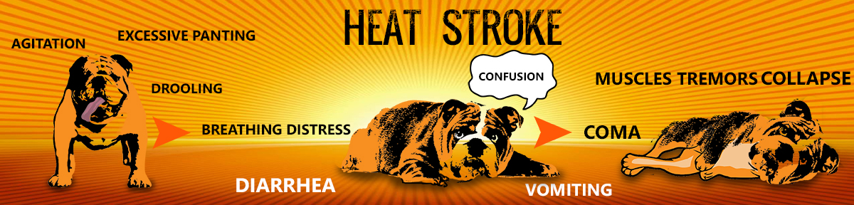 Graphic Design by creative gravity for Heights Pet Hospital | Design #20337819