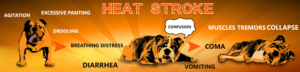 Graphic Design by creative gravity for Heights Pet Hospital | Design: #20385972
