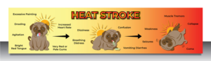 Graphic Design by vcreatived for Heights Pet Hospital | Design: #20308326