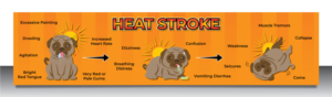 Graphic Design by vcreatived for Heights Pet Hospital | Design: #20308328