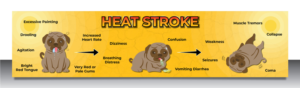 Graphic Design by vcreatived for Heights Pet Hospital | Design: #20308329