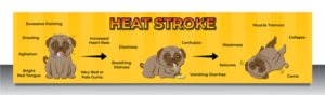 Graphic Design by vcreatived for Heights Pet Hospital | Design: #20308330