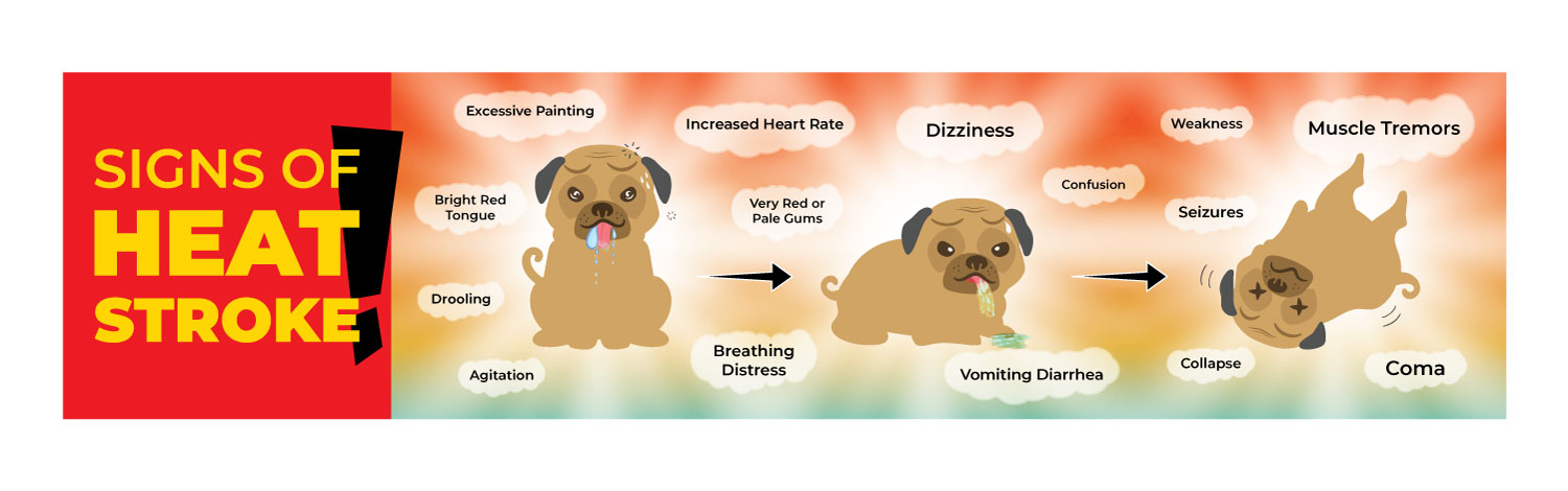 Graphic Design by vcreatived for Heights Pet Hospital | Design #20315629