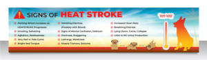Graphic Design by vcreatived for Heights Pet Hospital | Design: #20315631