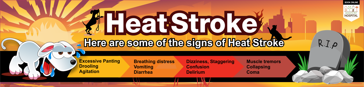 Graphic Design by NSP Design for Heights Pet Hospital | Design #20339055