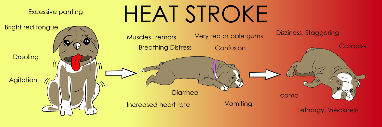 Grafik-Design von P A V O 2 für Heights Pet Hospital | Design #20379543