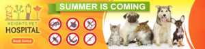 Graphic Design by Maestroto for Heights Pet Hospital | Design: #20211147