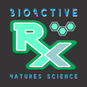 Logo Design by Zion Lion 2