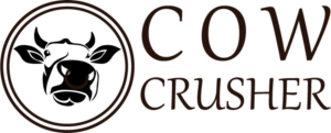 Logo Design by Kushan Graphic