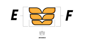 Diseño de Logo por mostafahegazy para este proyecto | Diseño #20218118