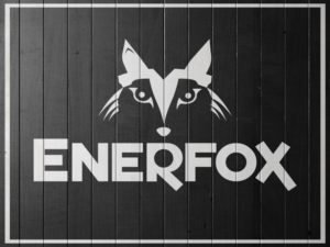 Logo Design by sachin 8