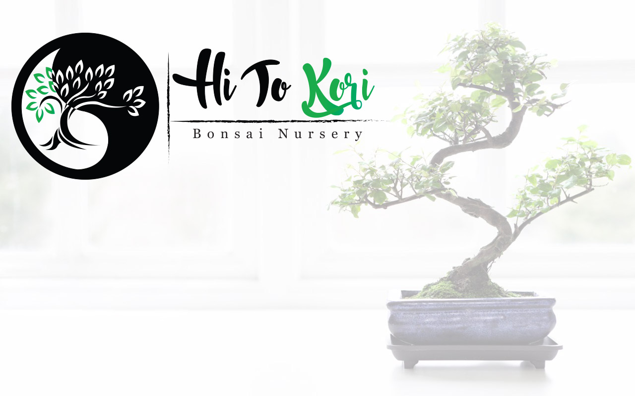 Logo Design by GESINER2020 for this project | Design #20331027