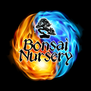 Logo Design by Jason Vantran for this project | Design: #20387133