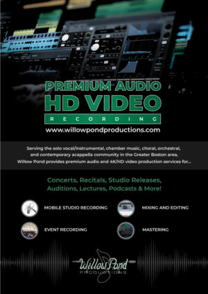 Premium Audio and HD Video with WPP!  | Flyer Design by vcreatived
