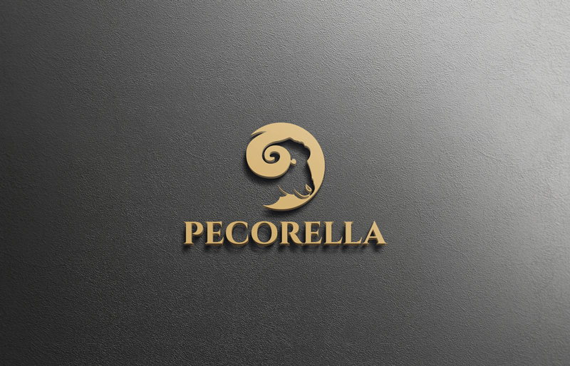 Diseño de Logo por monmon para este proyecto | Diseño #20244003