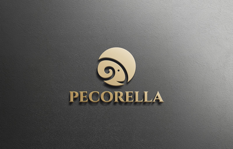 Logo Design by monmon for this project | Design #20253249