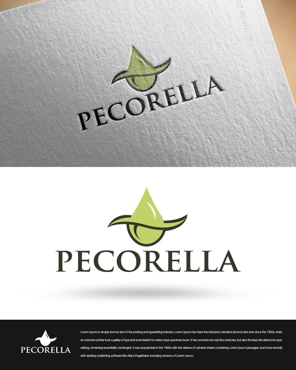 Logo Design by zingodesigns258 for this project | Design #20257666