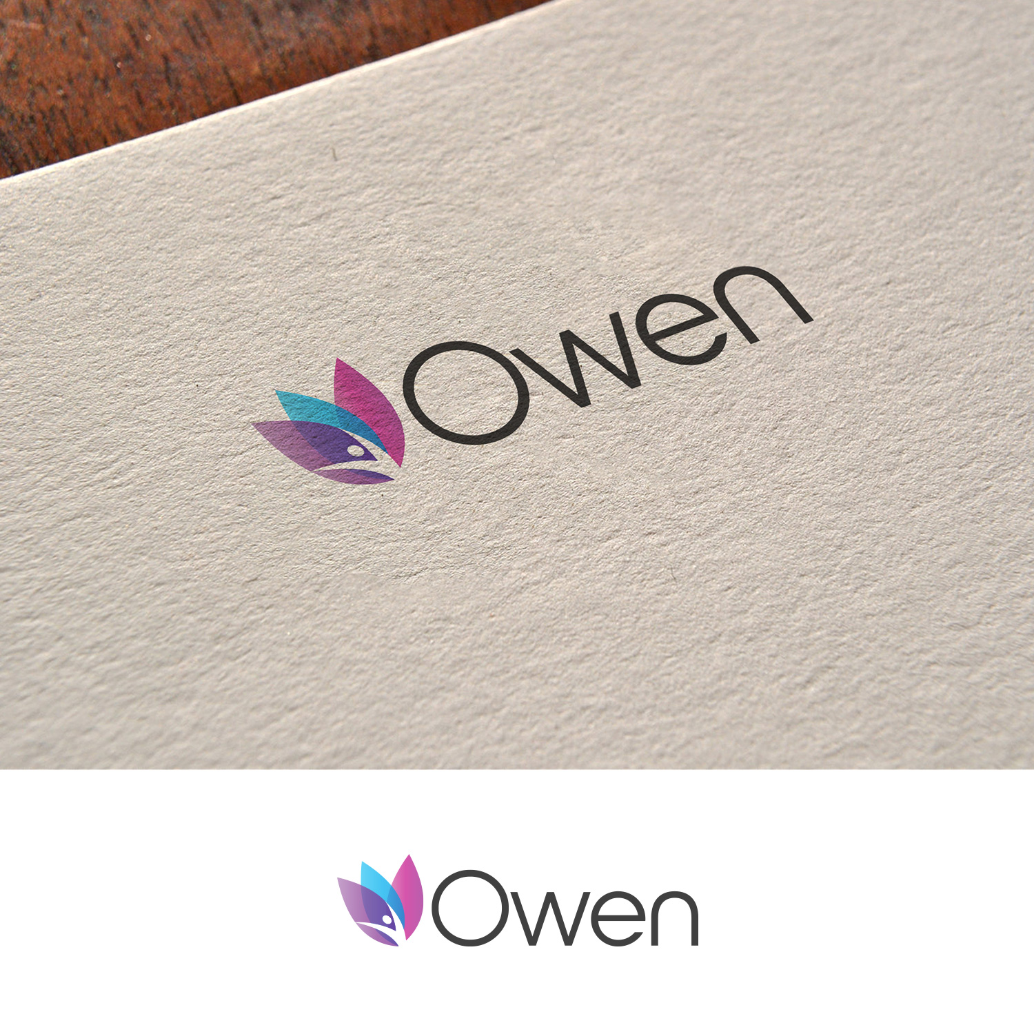 Logo Design by DesignDUO for Owen International Ltd | Design #20258976