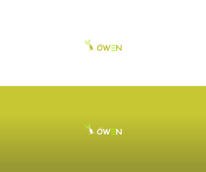 Design de Logo par Ustadi_Design 3 pour Owen International Ltd | Design : #20285553