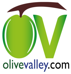 Logo Design by DesartS