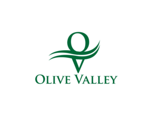 Logo Design by hasin 2