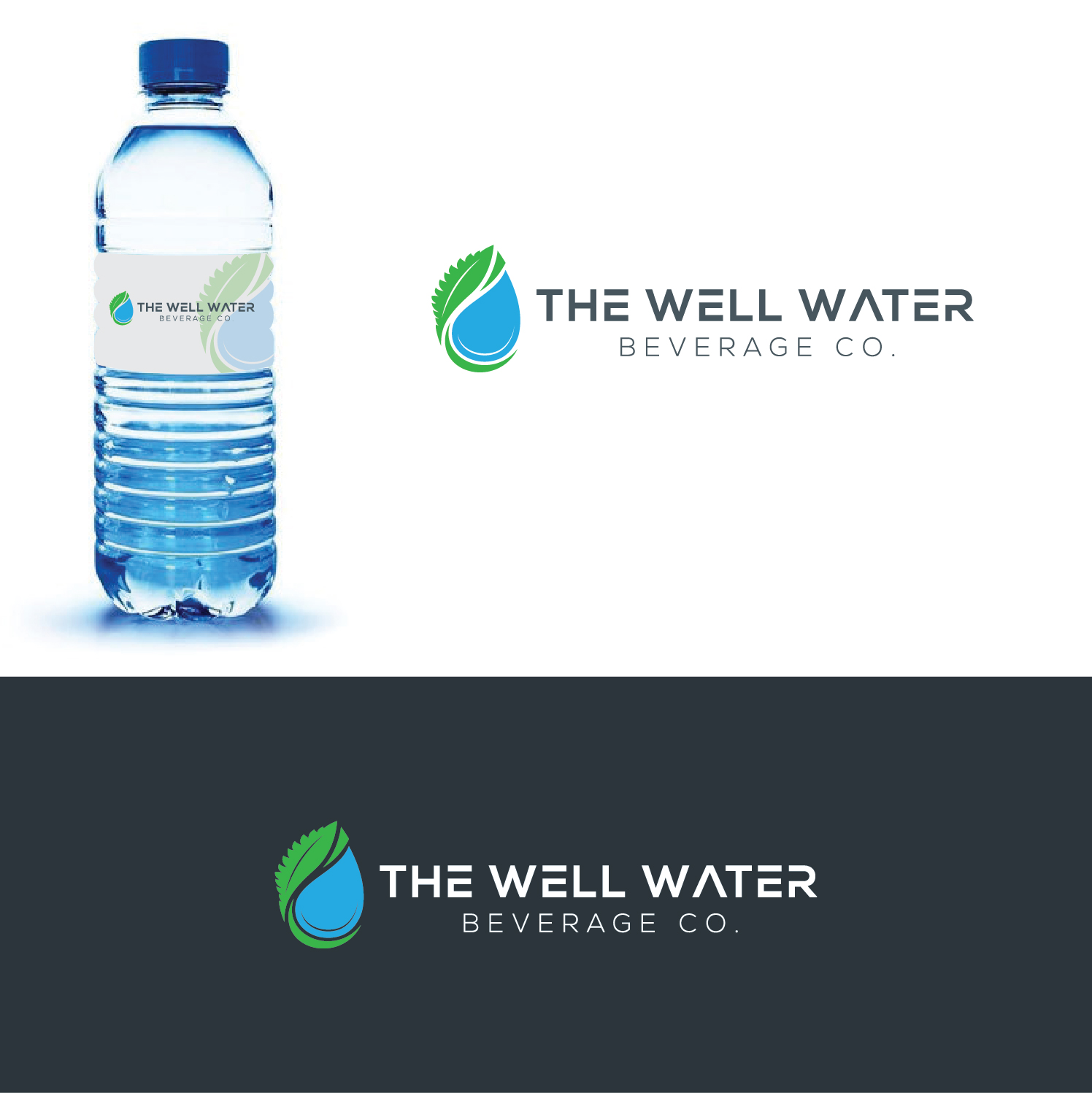 Logo Design by Deziners Zone for this project | Design #20407422