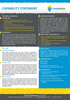 One-page Capabilities Statement needed | Diseño Gráfico por Annie Creative Service