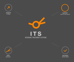 Logo Design by Manjuna for Intensive Treatment Systems | Design: #20418261