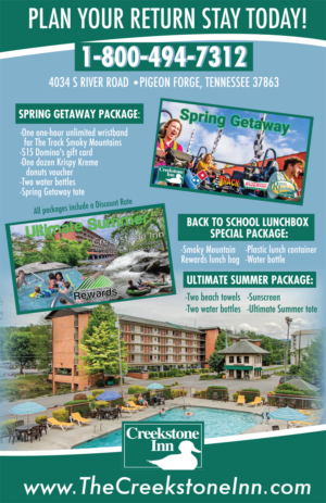 Rack Card 2 sided promoting spring and summer packages for 2019 | Diseño de Flyer por TracyInspires