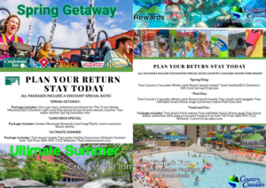 Flyer Design by Mona364 for Smoky Mountain Resorts | Design #20267533