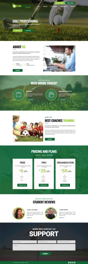Web Design by Dream Logo Design