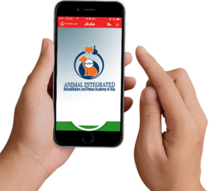 Logo Design by Wonderful design for this project | Design: #20254745