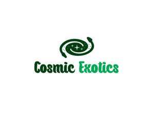 Cosmic Exotics | Logo Design by Buck Tornado