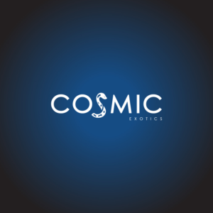 Logo Design by **INCREDIBLEDESIGNERS** for this project | Design: #20260732