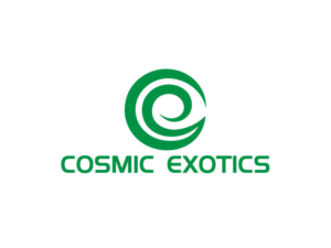 Logo Design by NEOTERIC for this project | Design: #20272121