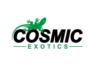 Logo Design by NEOTERIC for this project | Design: #20272122