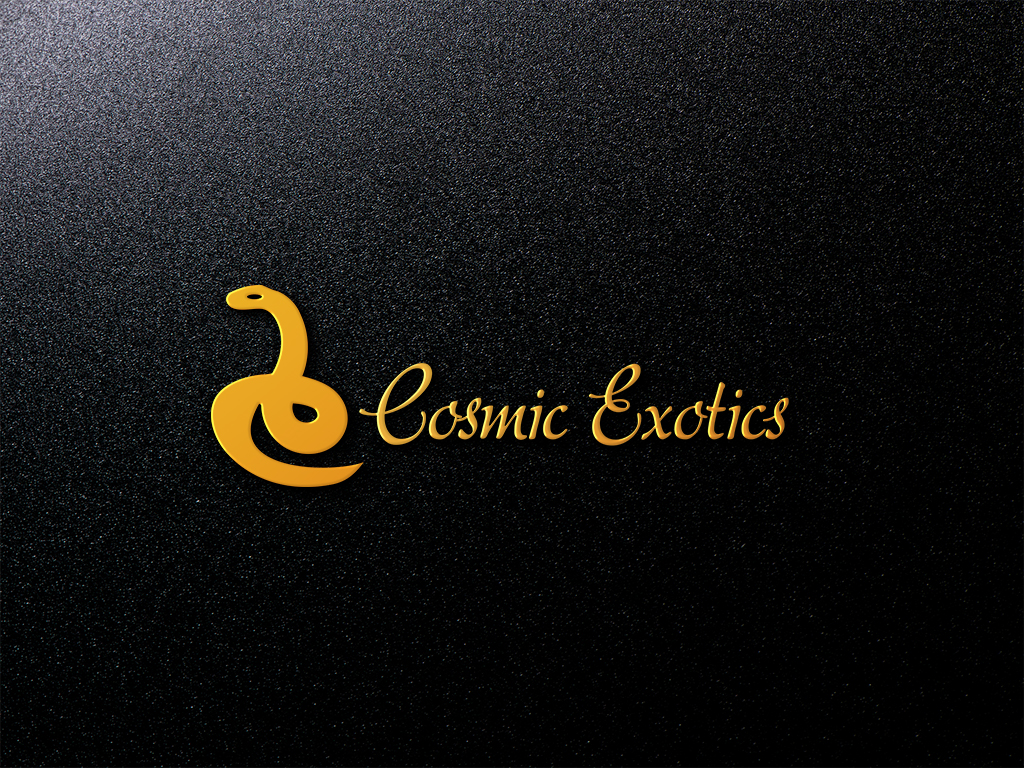 Logo-Design von BrightHossain 2 für dieses Projekt | Design #20256084