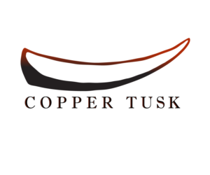 Logo Design by noranovak
