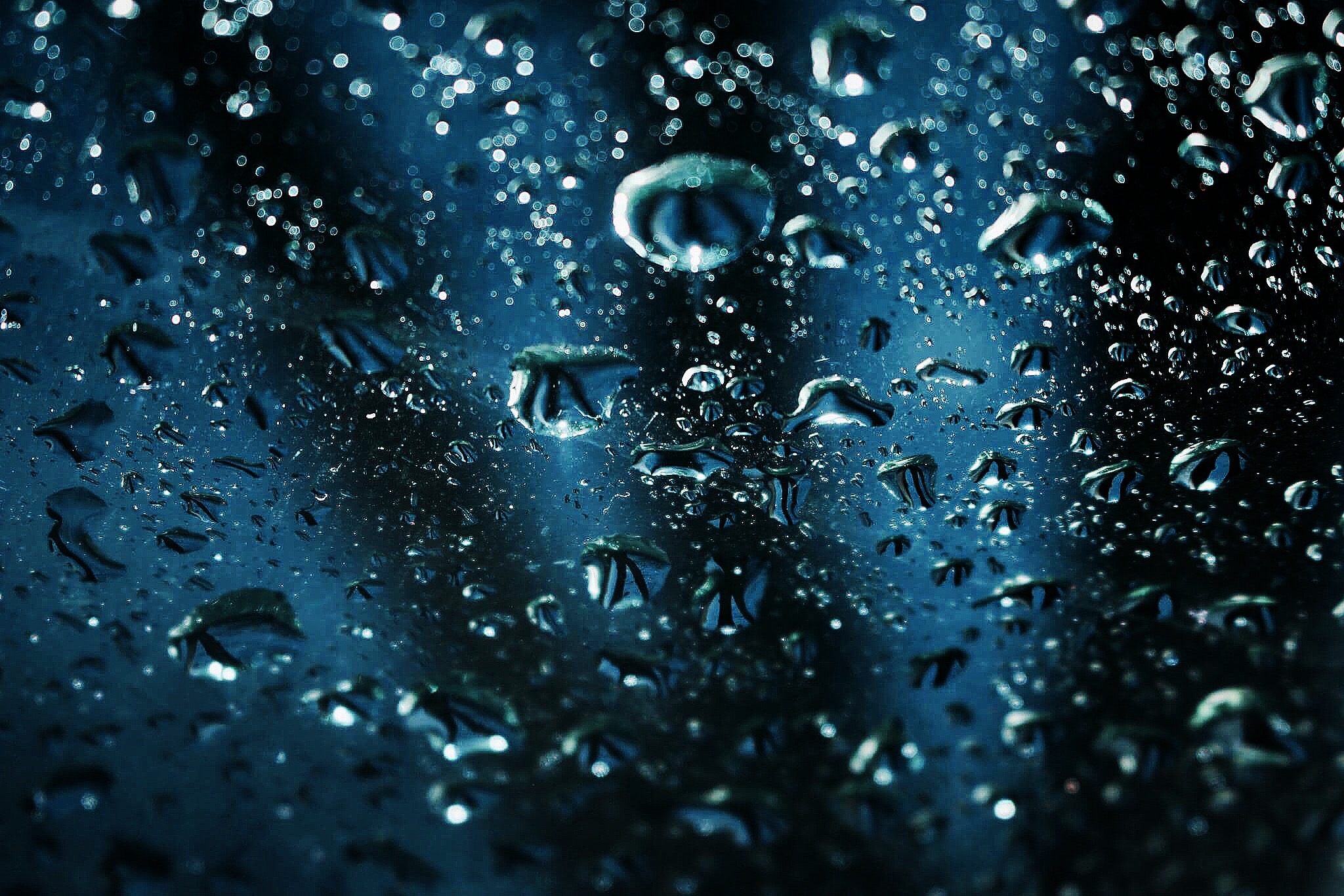 Photography by brandon babineau 2 for DesignCrowd (Community Contests) | Design #20399429