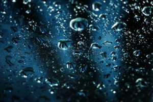 Photography by brandon babineau 2