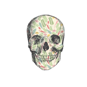 Need a Skull Designed for our Women's Boutique | Graphic Design by desainerd
