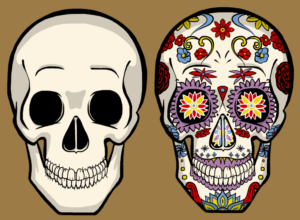 Need a Skull Designed for our Women's Boutique | Graphic Design by Tomi Ax