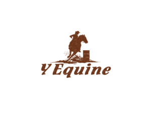 Logo Design by instudio for Zoom Productions | Design: #20307614