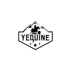 Diseño de Logo por **INCREDIBLEDESIGNERS** para Zoom Productions | Diseño: #20306438