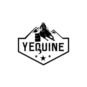 Diseño de Logo por **INCREDIBLEDESIGNERS** para Zoom Productions | Diseño: #20455048